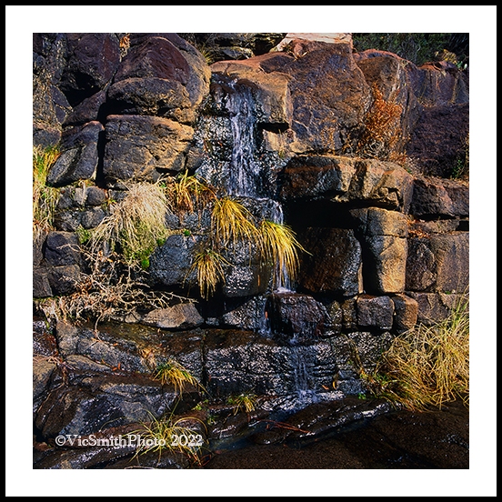 Canyon Seep( Arizona-28)