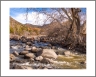 Dry Beaver (Arizona-39)