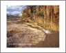 Small Flow (Arizona-39)