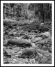 Flood (Arizona-28)