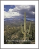 Four Peaks (Arizona-39)