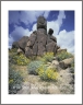 Pointers (Arizona-39)