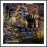 Canyon Seep(AzSouth-39)