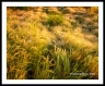 LF_L0080203a2211a_web2wf