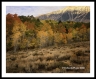 LF_L1100809a2211a_web2wf