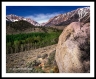 Looking toward Tioga Pass