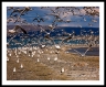 DMR_L1011504a2210a_web2wf