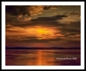 LF_L0080102a2211a_web2wf