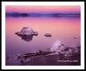 LF_L009011611a2211a_web2wf