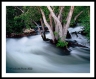 LF_L6062304a2210a_web2wf