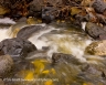 Over Rocks(OakCreek-21)