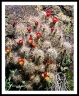 S1062506aa2606a_web2Wf