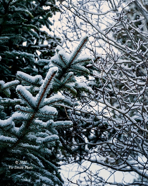 White Over Green (Arizona-29)