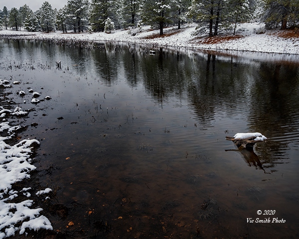Our Pond (Arizona-29)