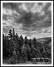 V16P_IMG_2647a2608a8BW_web2Wf