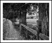 L1005861b2206a_web2Wf