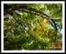 GFX30__DSF4014a2410a_web2Wf