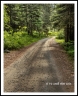 GFX__DSF1986a2607a8C_web2Wf