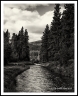 L2_L1000514a1502a_web2Wf
