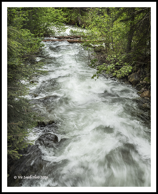 GFX__DSF1985a2608a_web2Wf