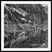 Aspen Pond(Mono-)