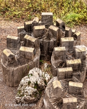 Tiny Town (BlackfootPathways-)
