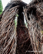 Inside (BlackfootPathways-)