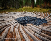 Ponderosa Whirlpool (BlackfootPathways-)