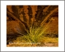 Donwflow/Uplift(GrandCanyon-36)