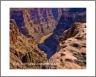 Toroweap River (GrandCanyon-36)