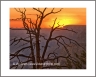 Sunrise (GrandCanyon-36)