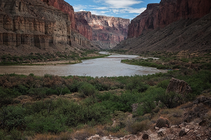 Upriver (Grand Canyon)