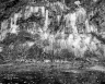 Seeps Of Life  (Arizona-49)