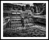 Control (Bitterroot-40)