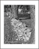 Leftovers (Bitterroot-40)