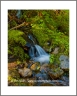 Little Falls (Bitterroot-40)