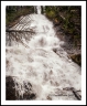 Skalkaho Falls (Bitterroot-40)
