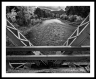 Bitterroot Crossing (Bitterroot-40)