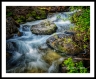 Flowing (Bitterroot-40)