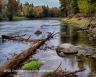 Bitterroot River (Bitterroot-40)