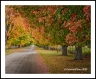 Down The Drive ((Villages-12))