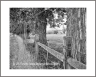 Wooden Fences (Bitterroot-40)