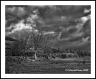 Apple Fence (Bitterroot-40)
