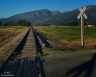 Tracks (Bitterroot-20)