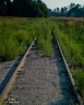 Old Tracks (Bitterroot-20)