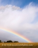 Rainbow (Bitterroot-40)