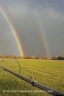 After the Rain (Bitterroot-40)