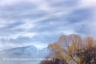 Cloudy Sky (Bitterroot-40)