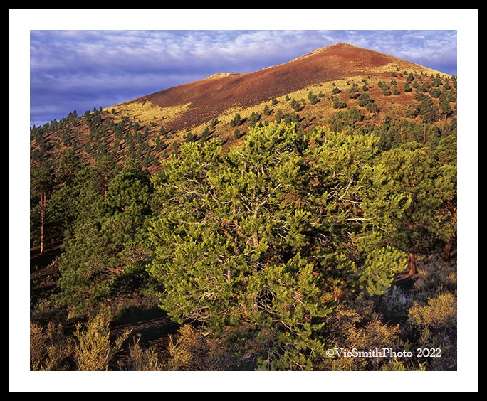 Sunset Crater(SunsetCrater-)