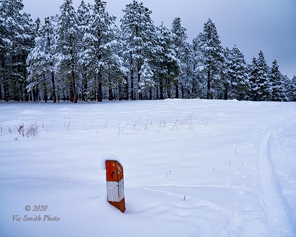 Open Space (Arizona-30)